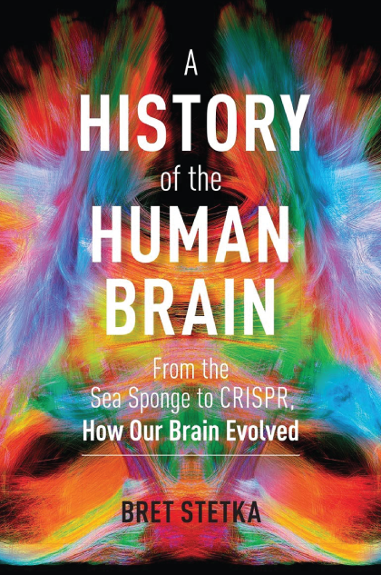 A History of the Human Brain: From the Sea Sponge to CRISPR, How Our Brain Evolved